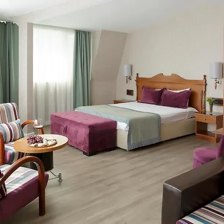 Hotel Vatan Asur 4*