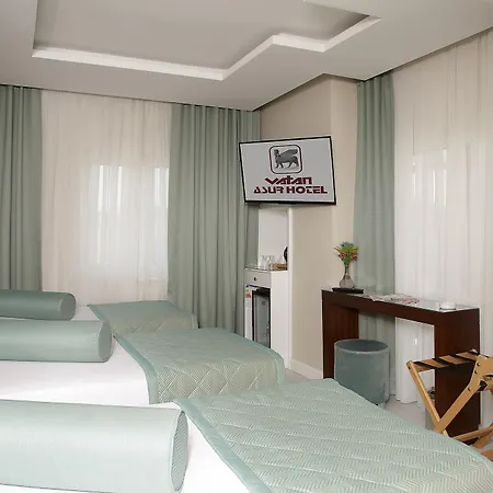 Vatan Asur 4*