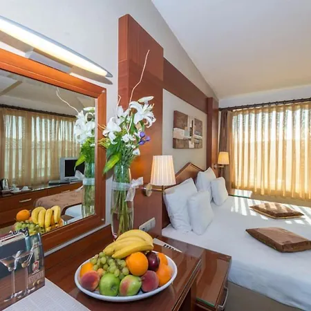 Hotel Vatan Asur Istambul
