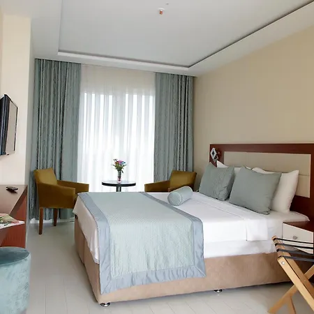 Vatan Asur Hotel Provincia di Istanbul